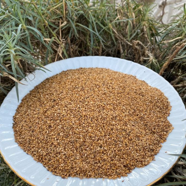 Kavrulmuş Susam 1 Kg