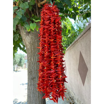 Atom Acı Biber 1 İp