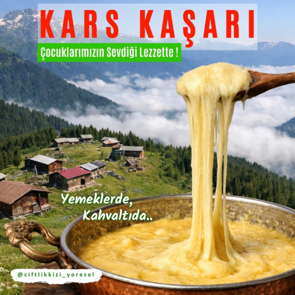 Kars Kaşarı 1 Kg Tam Yağlı
