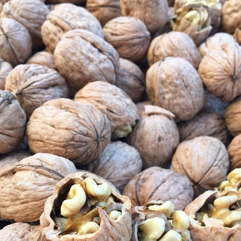 Kabuklu Ceviz 1 Kg Kabuklu Ceviz 1 Kg