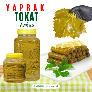 Asma Yaprak Tokat Salamura 1 Kg