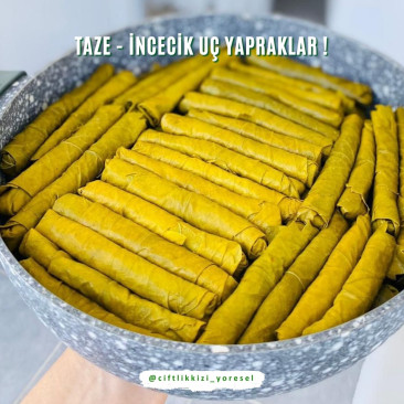 Asma Yaprak Tokat Salamura 1 Kg