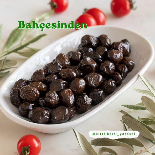 Aydın Bahçeden Siyah Zeytin | Doğal Etli Siyah Zeytin 1 Kg