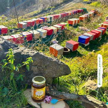 Çiçek Balı 1 Kg - Yüksek Rakım Yayla